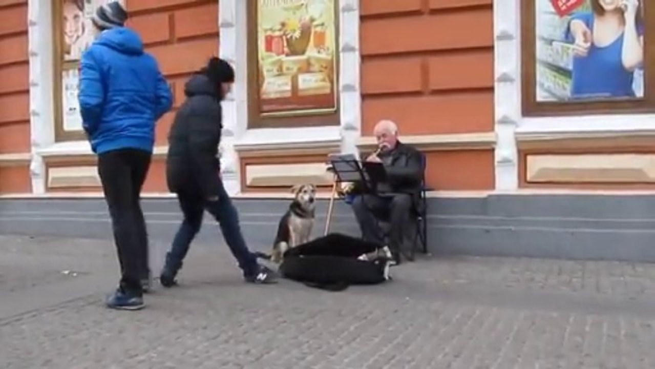 Ce Chien adore la Clarinette!