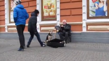 Ce Chien adore la Clarinette!