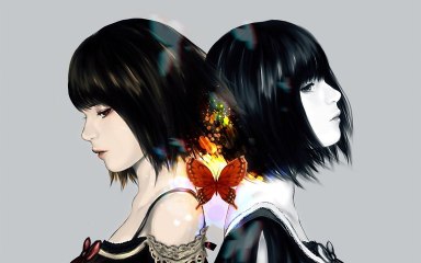 Project Zero 2 wii edition ~BONUS ~