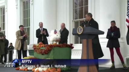 Obama indulta pavo por Acción de Gracias