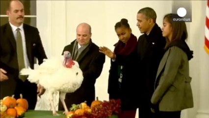 Turkeys "Popcorn" and "Caramel" avoid becoming Thanksgiving fare