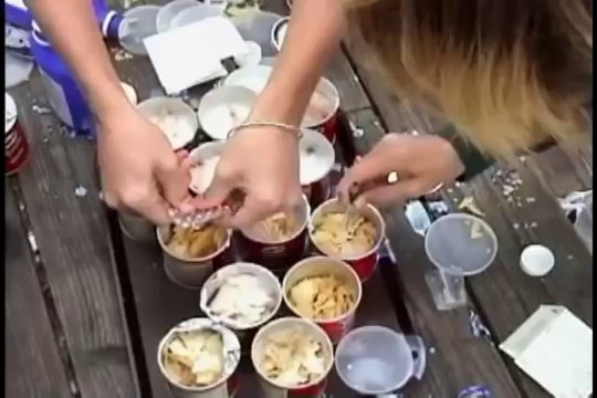 Weird Prank : Seagulls on laxatives