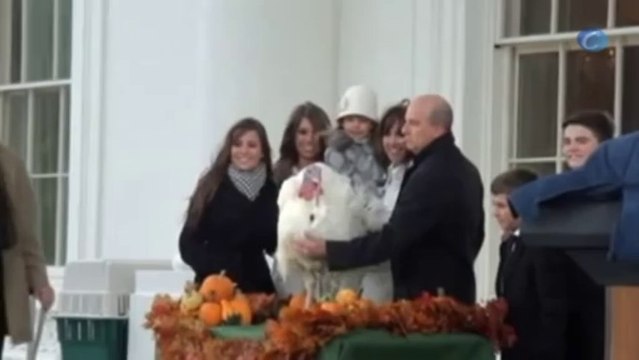 El indulto al pavo Popcorn abre la fiesta de Acción de Gracias