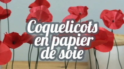 Coquelicots en papier de soie