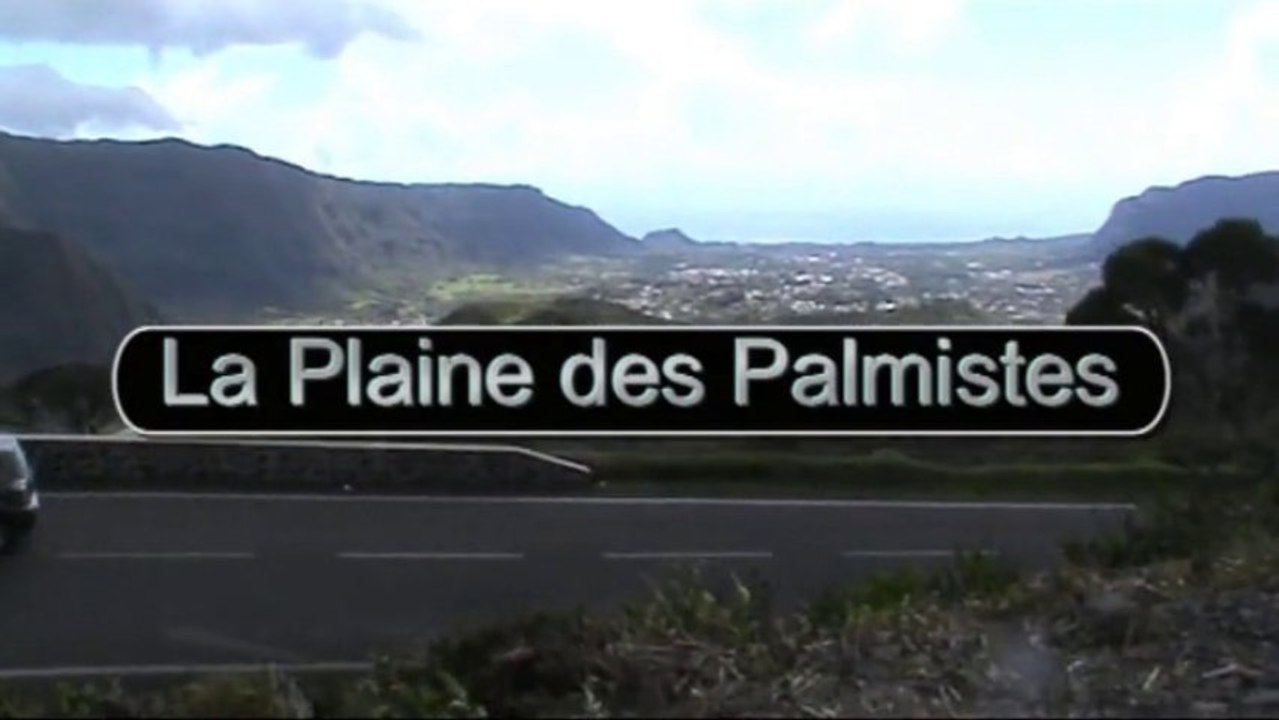 La plaine des Palmistes