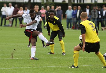 Les bijoux de Moussa Dembélé, la sensation de Fulham !
