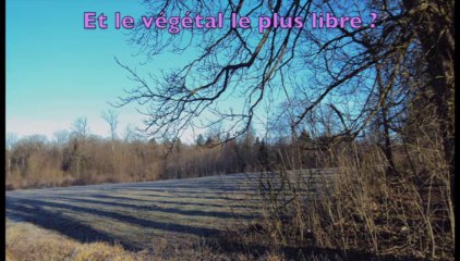 LibertéS en Meuse - mars 2012