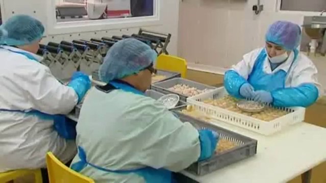 Les fabricants des escargots de Bourgogne recrutent pour la période des fêtes