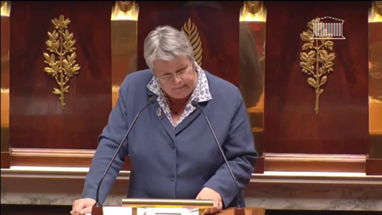 intervention Sylvie Pichot Loi de programmation militaire