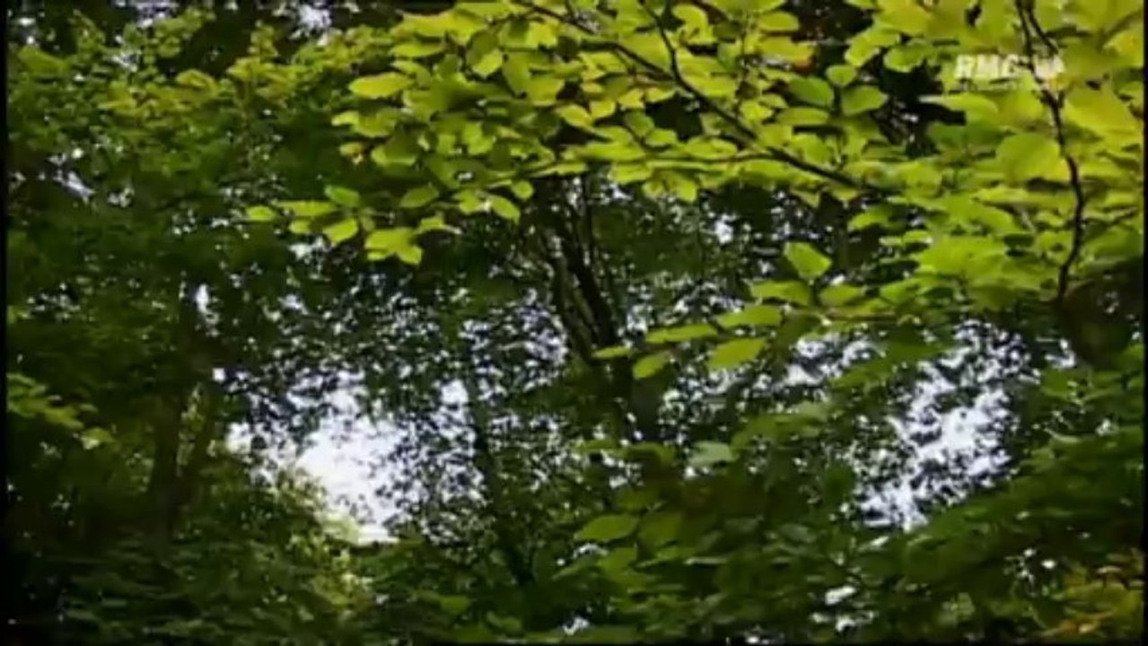 Guerre 1914-1918 - L'horreur des tranchées