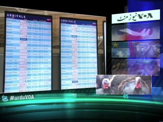 News Minute on VOA News - 28th November 2013