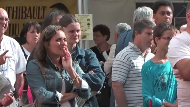 Fête des Associations et des Vendanges – Dreux 2013