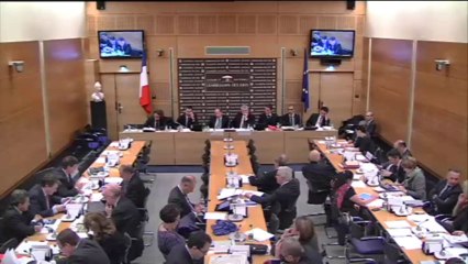 Intervention de Philippe Gosselin en Commission des Lois - 13 novembre 2013