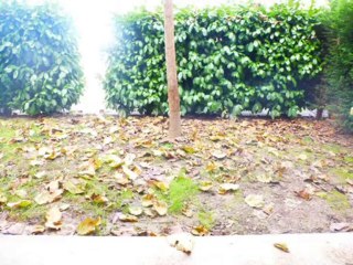 33440 APPARTEMENT T2 SAINT LOUIS DE MONTFERRAND - REF=VR14B