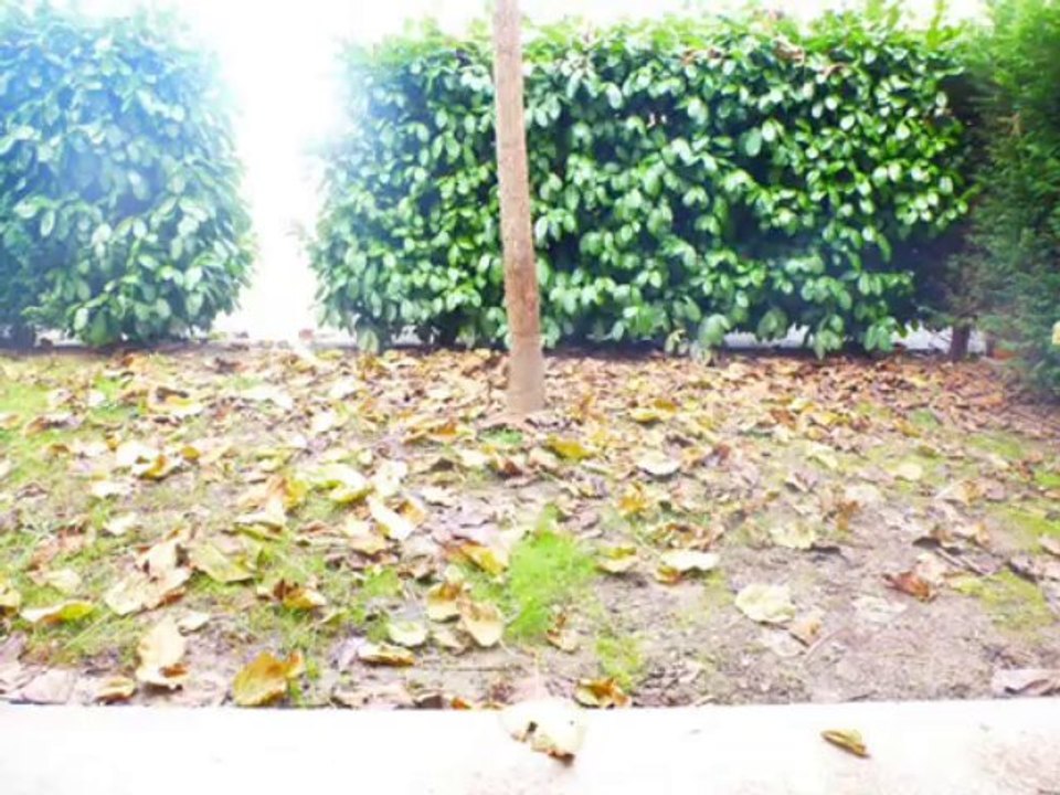 33440 APPARTEMENT T2 SAINT LOUIS DE MONTFERRAND - REF=VR14B