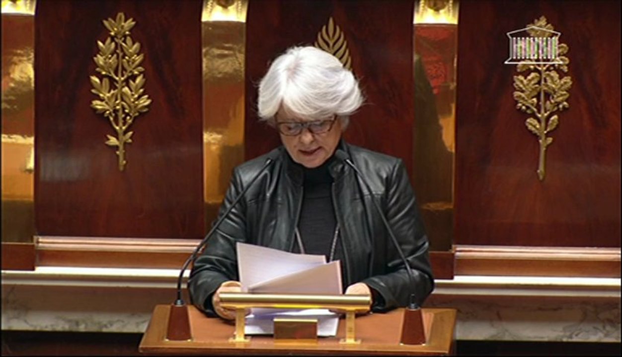 Gisèle Biémouret : intervention en discussion générale sur les maisons de naissance.