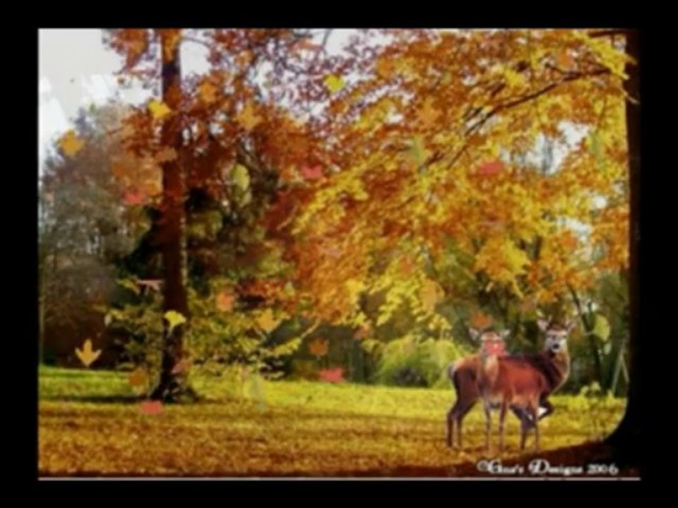 Hakan  YEŞİLYURT   -   KİME KİN ETTİN