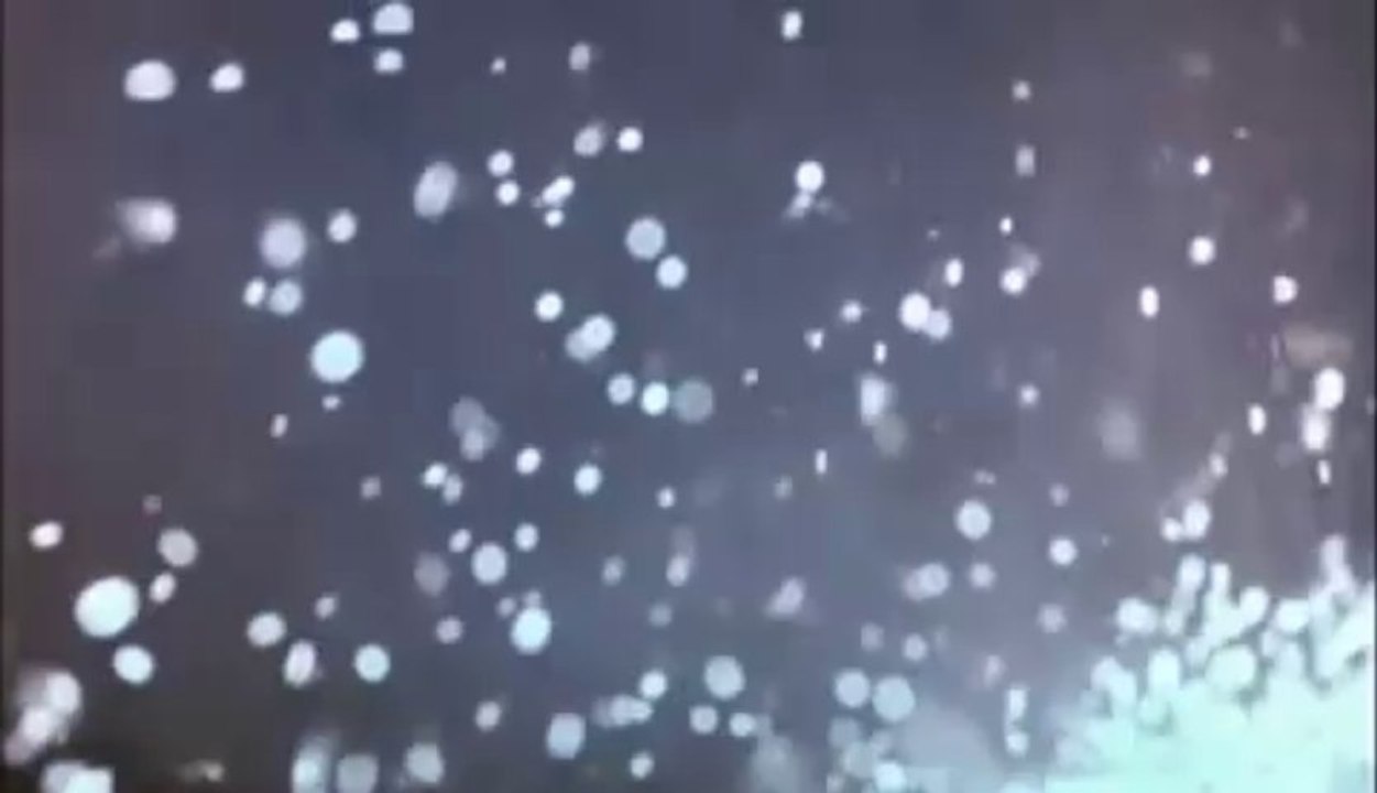 Friday The 13th Part 6 : Jason Lives (1986) - Official Trailer [VO-HQ]