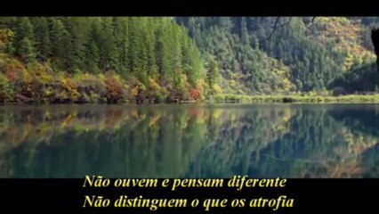 Todos Diferentes e Iguais