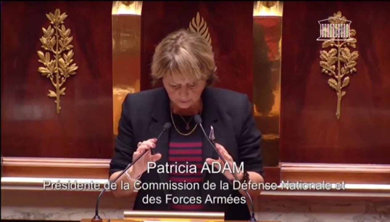 Loi de programmation militaire 2014-2019 - Mardi 26 novembre 2013