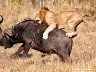 A.V Presentation By Rizwan 3