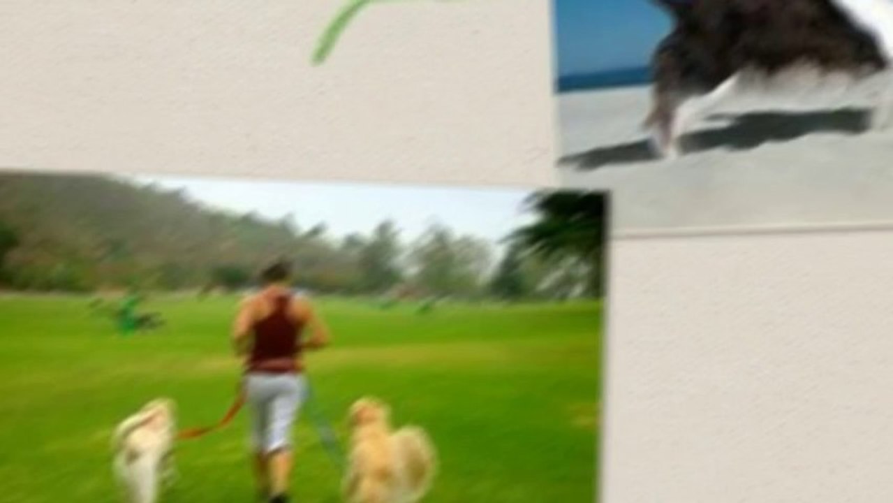 Hip & Joint  Support For Hip Dysplasia in Large Dogs