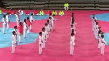 K-Tigers perform at S. Korea's new Taekwondo stadium