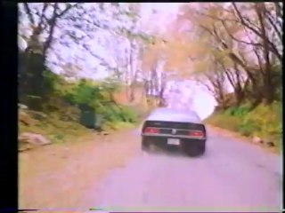 Blazing Magnum (1976) 1971 Ford Mustang VS. 1968 Buick Special - Awesome car chase