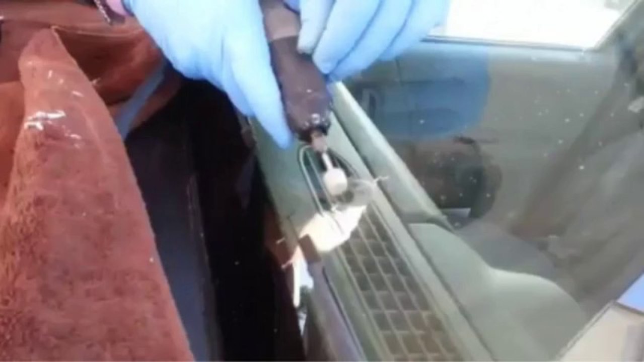 windshield repair Denver & auto glass window repair