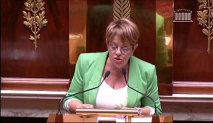 INTERDICTION DU CUMUL DE FONCTIONS EXÉCUTIVES LOCALES AVEC LE MANDAT DE DÉPUTÉ OU DE SÉNATEUR(suite) ; INTERDICTION DU CUMUL DE FONCTIONS EXÉCUTIVES LOCALES AVEC LE MANDAT DE REPRÉSENTANT AU PARLEMENT EUROPÉEN (suite) - Mercredi 3 Juillet 2013