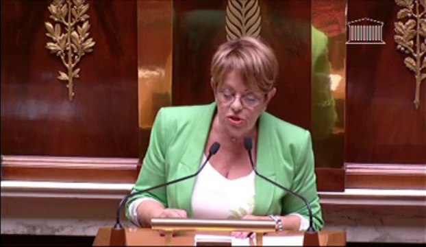 INTERDICTION DU CUMUL DE FONCTIONS EXÉCUTIVES LOCALES AVEC LE MANDAT DE DÉPUTÉ OU DE SÉNATEUR(suite) ; INTERDICTION DU CUMUL DE FONCTIONS EXÉCUTIVES LOCALES AVEC LE MANDAT DE REPRÉSENTANT AU PARLEMENT EUROPÉEN (suite) - Mercredi 3 Juillet 2013