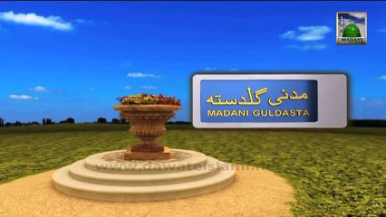 Islamic Information 649 - Aaqa Ki Hasan O Hussain Se Muhabbat - Haji Mushtaq Qadri