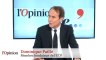 Dominique Paillé : « Nicolas Sarkozy fait tout pour revenir et s'il revient il perdra.»