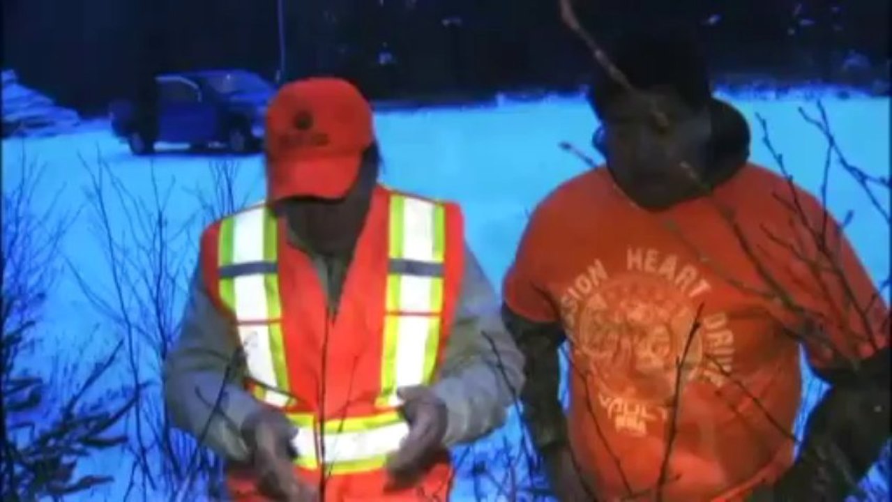 L'orignal menace la forêt canadienne