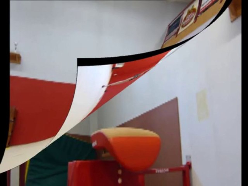 Mes accros en gymnastique. Le quart de mes capacités