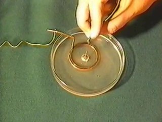 Ртутное сердце