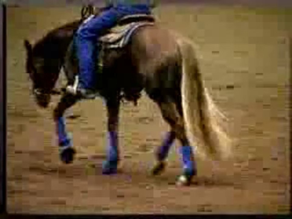 Trot Extensions