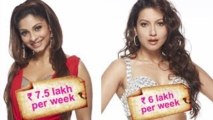 Revealed | Tanisha, Gauhar Are Highest Paid In Bigg Boss 7