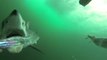 Attaque de requin filmée à la GoPro sous-marine.