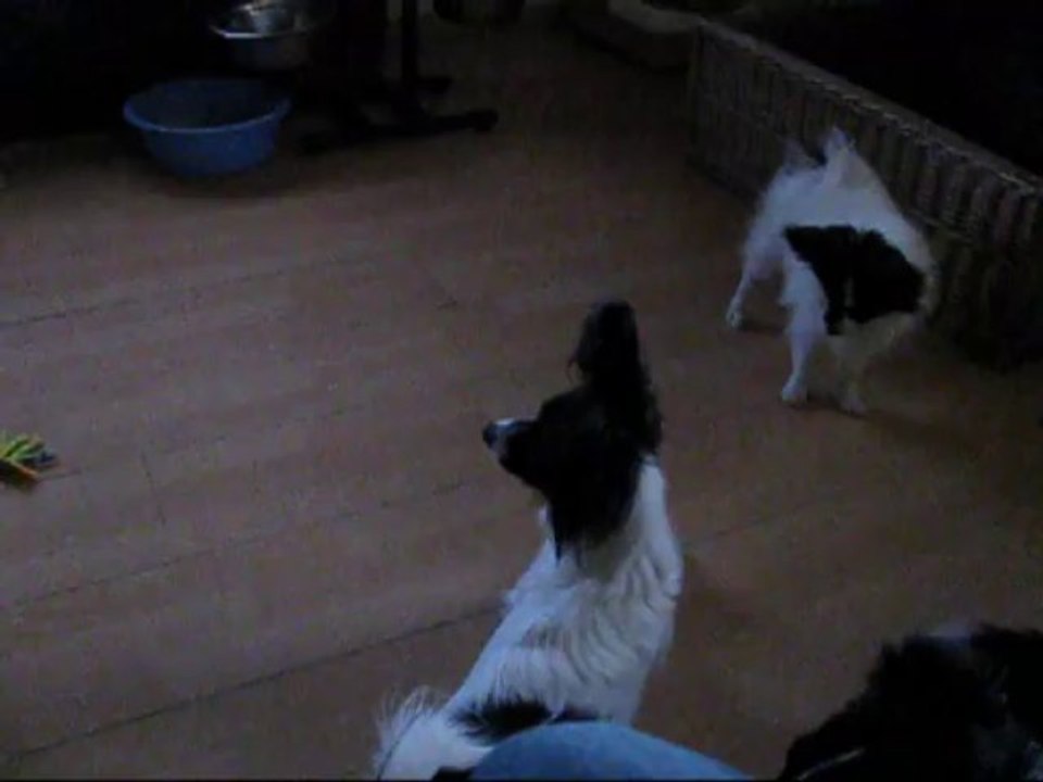 Film gin et Pixel