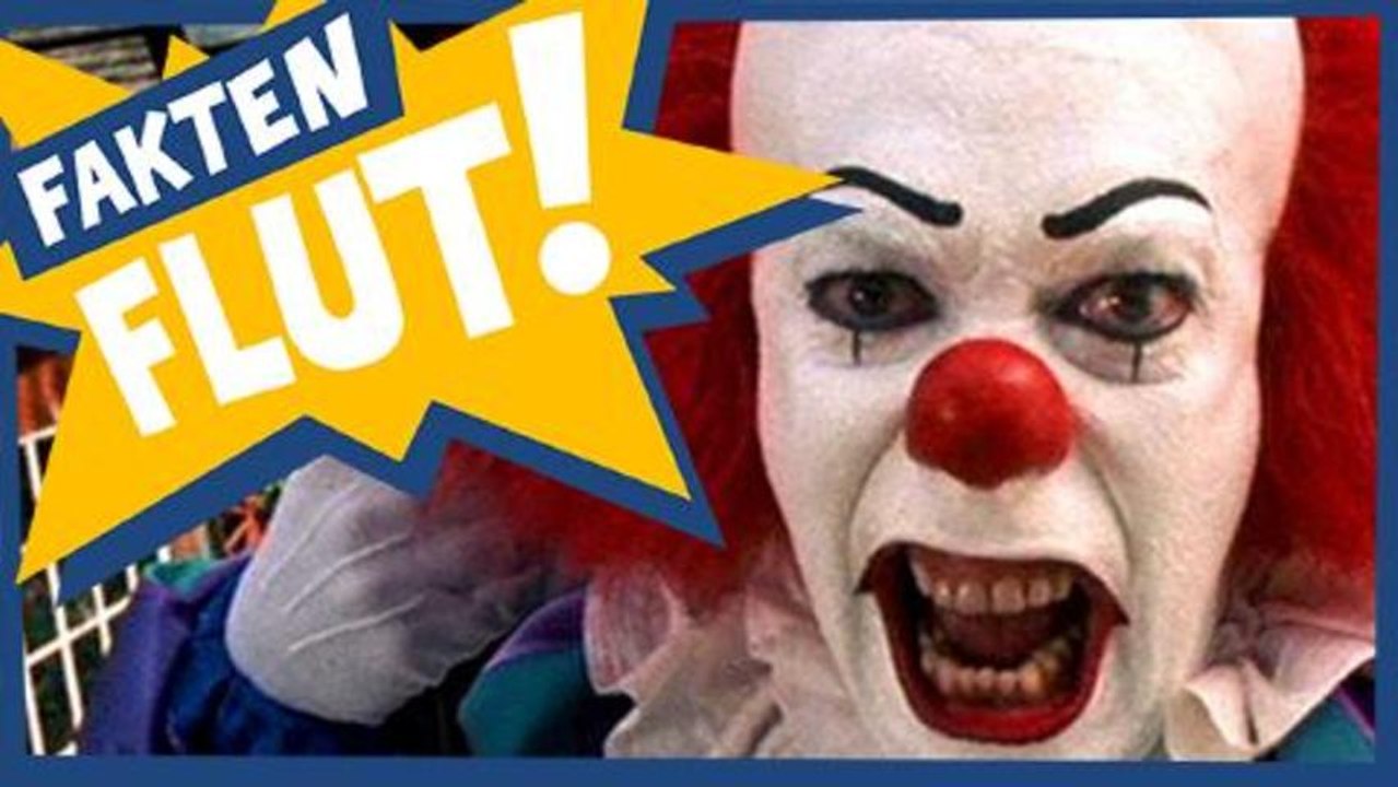 43 Fakten zu Stephen King | Faktenflut