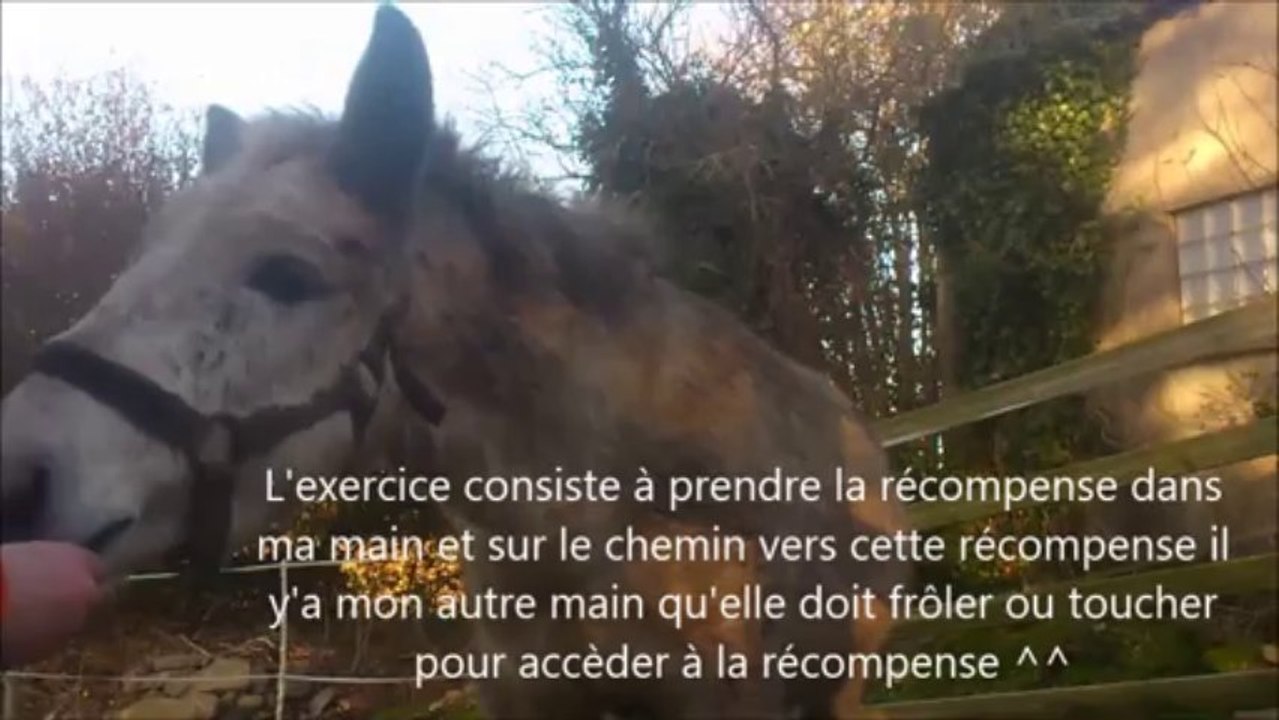 Bibi le 22 novembre