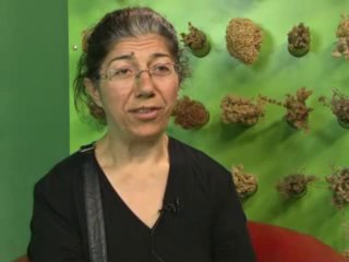 Şeker Hastalığı Vardı