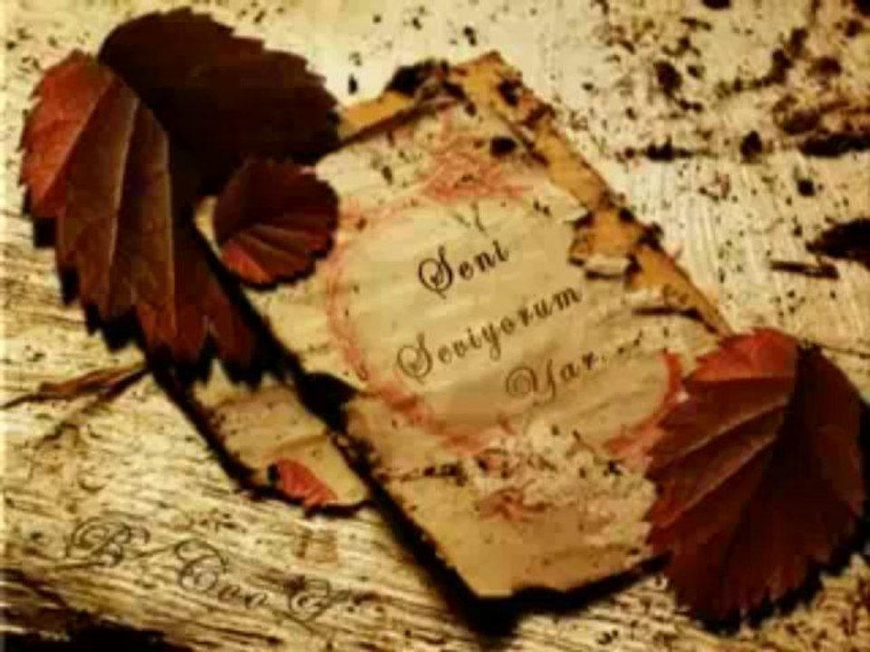 Zeynel Aba - Gül Menekse