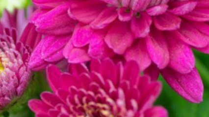 Imágenes bellísimas de madre Natura 1