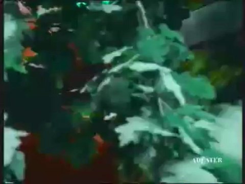 Orangina Rouge - Mais Pourquoi Est-Il Aussi Méchant? - 1996