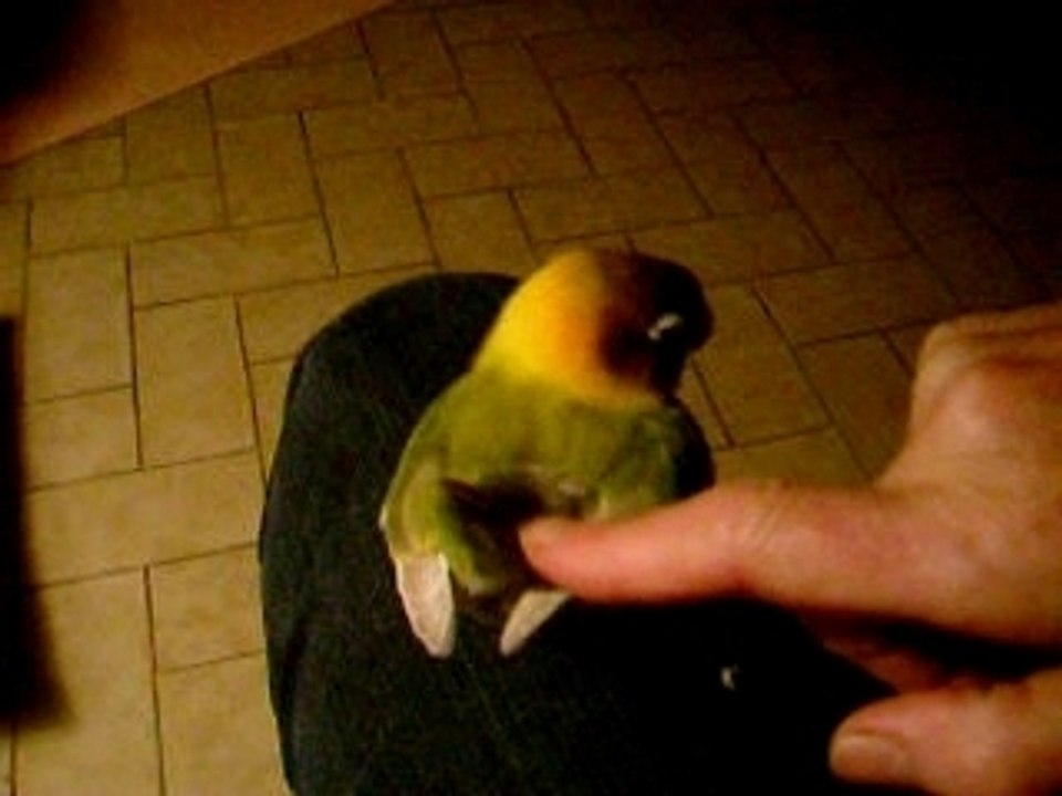 Oh çà chatouille !