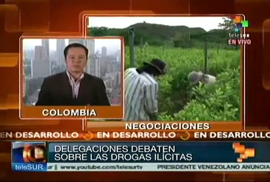 Productores colombianos de droga demandan alternativas para sobrevivir
