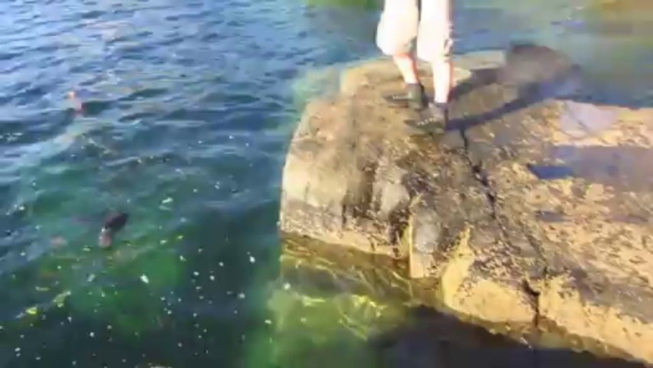 Isle Of Skye Sea Fishing With The Whitby Bass Club