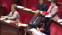 Déclaration générale d'Eva Sas sur la proposition de loi renforçant le système prostitutionnel